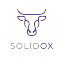 Solid Ox Motors
