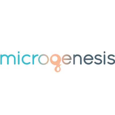 Microgenesis