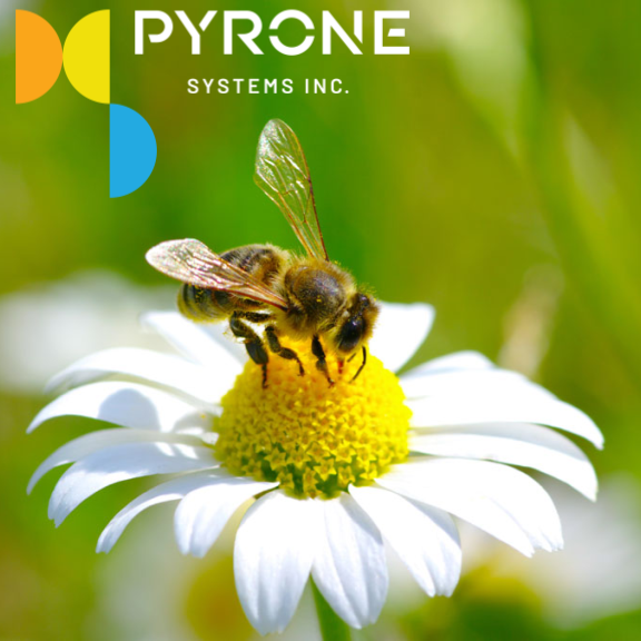 Pyrone