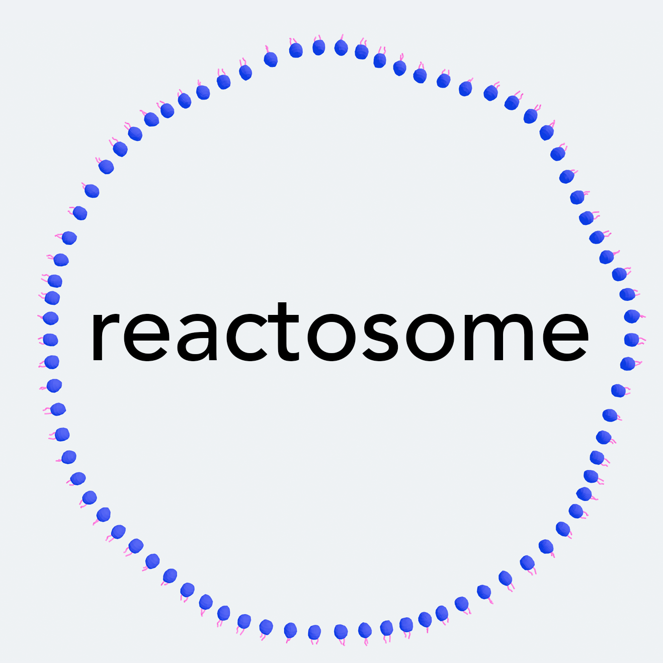 Reactosome