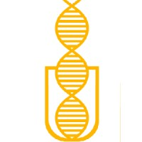 Particella